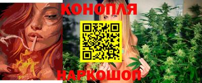 apvp Ярославль