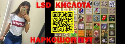 apvp Ярославль