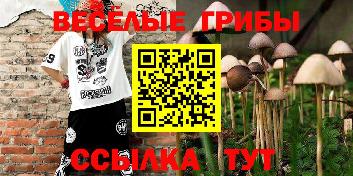 Рославль  Псилоцибиновые грибы мухоморы  Вход с VPN 